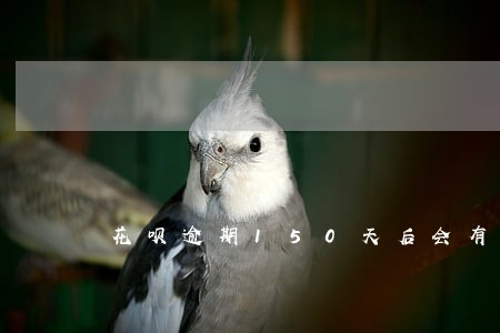花呗逾期150天后会有什么后果 花呗逾期150天后会有什么后果