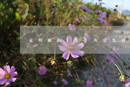 花呗逾期158天会怎样 花呗逾期158天会怎样