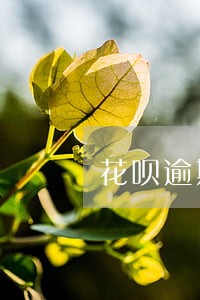 花呗逾期15天会打电话催吗 花呗逾期15天会打电话催吗