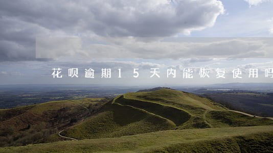 花呗逾期15天内能恢复使用吗 花呗逾期15天内能恢复使用吗