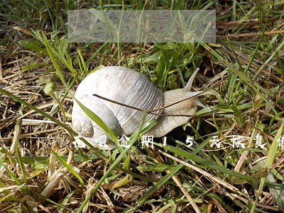 花呗逾期15天恢复使用 花呗逾期15天恢复使用