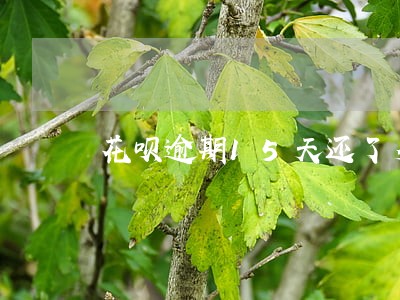 花呗逾期15天还了多久恢复 花呗逾期15天还了多久恢复
