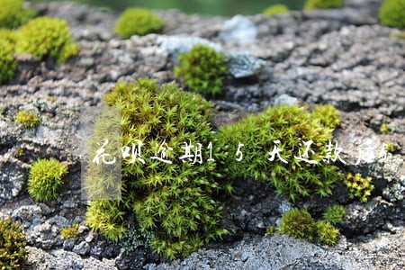花呗逾期15天还款后5个工作日 花呗逾期15天还款后5个工作日