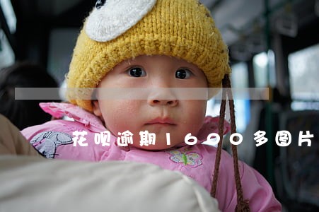 花呗逾期1600多图片 花呗逾期1600多图片