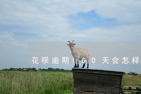 花呗逾期160天会怎样 花呗逾期160天会怎样