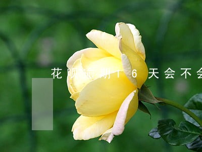 花呗逾期16天会不会催收 花呗逾期16天会不会催收