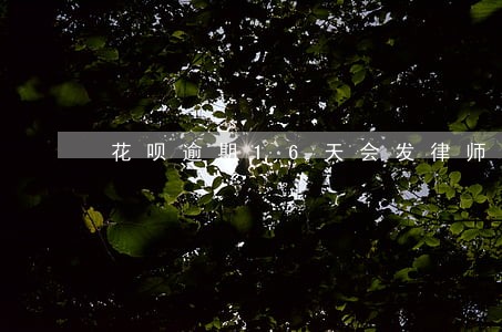 花呗逾期16天会发律师函吗 花呗逾期16天会发律师函吗