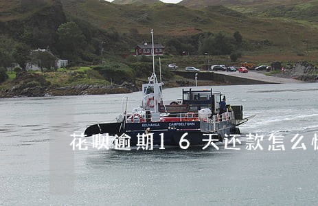 花呗逾期16天还款怎么恢复花呗 花呗逾期16天还款怎么恢复花呗