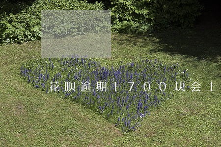 花呗逾期1700块会上门调吗