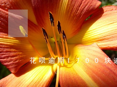 花呗逾期1700块逾期一个月 花呗逾期1700块逾期一个月