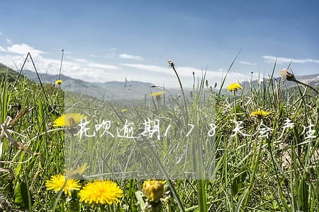 花呗逾期178天会产生什么后果 花呗逾期178天会产生什么后果