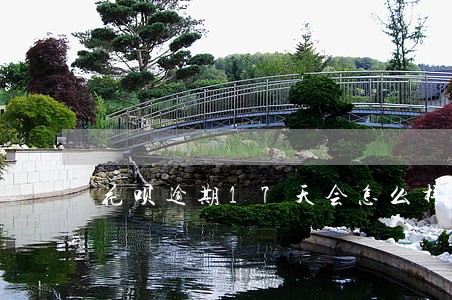 花呗逾期17天会怎么样 花呗逾期17天会怎么样