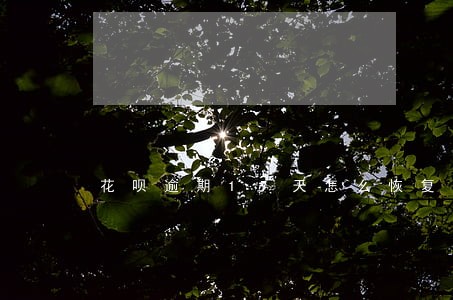 花呗逾期17天怎么恢复花呗