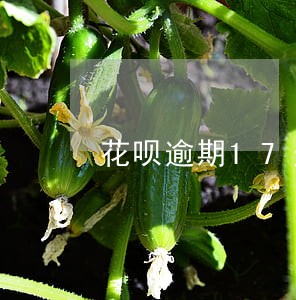 花呗逾期17天花呗会关闭吗 花呗逾期17天花呗会关闭吗