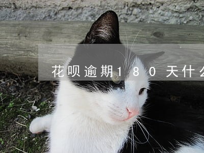 花呗逾期180天什么后果 花呗逾期180天什么后果