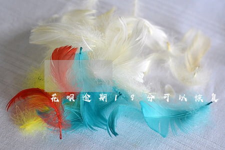 花呗逾期19分可以恢复吗 花呗逾期19分可以恢复吗
