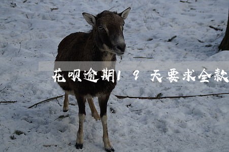 花呗逾期19天要求全款还 花呗逾期19天要求全款还