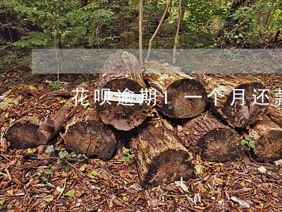 花呗逾期1一个月还款 花呗逾期1一个月还款