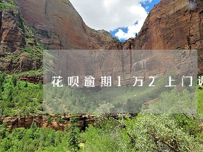 花呗逾期1万2上门调查真的吗 花呗逾期1万2上门调查真的吗