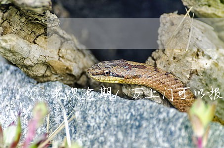 花呗逾期1万上门可以报案吗 花呗逾期1万上门可以报案吗