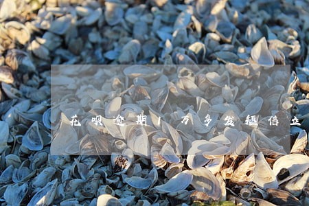 花呗逾期1万多发短信立案审核 花呗逾期1万多发短信立案审核