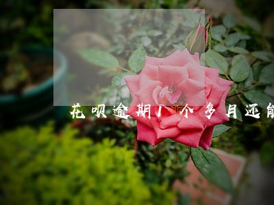 花呗逾期1个多月还能再恢复吗 花呗逾期1个多月还能再恢复吗