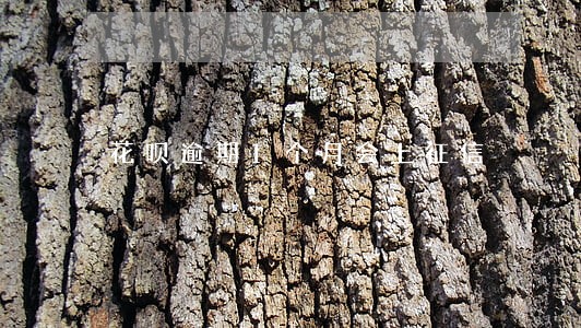 花呗逾期1个月会上征信 花呗逾期1个月会上征信