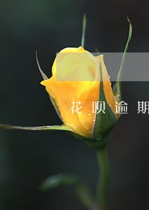 花呗逾期1个月会打通讯录电话吗 花呗逾期1个月会打通讯录电话吗