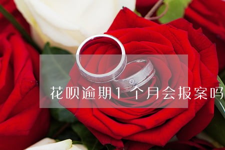 花呗逾期1个月会报案吗 花呗逾期1个月会报案吗