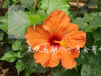 花呗逾期1个月会有什么后果 花呗逾期1个月会有什么后果