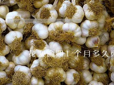 花呗逾期1个月多久恢复正常 花呗逾期1个月多久恢复正常