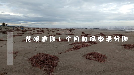 花呗逾期1个月如何申请分期 花呗逾期1个月如何申请分期