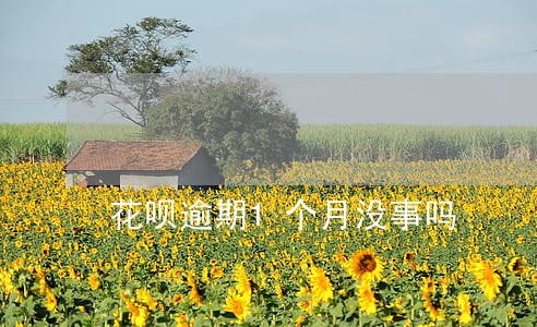 花呗逾期1个月没事吗 花呗逾期1个月没事吗