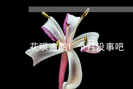 花呗逾期1个月没事吧 花呗逾期1个月没事吧