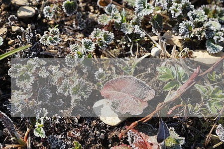 花呗逾期1个月被冻结 花呗逾期1个月被冻结