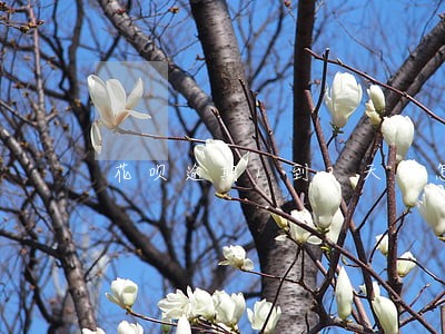 花呗逾期1到2天会怎么样 花呗逾期1到2天会怎么样