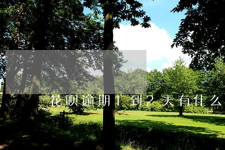 花呗逾期1到2天有什么后果 花呗逾期1到2天有什么后果