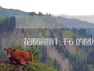 花呗逾期1千6的图片 花呗逾期1千6的图片
