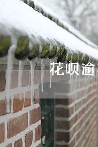 花呗逾期1千多会上门吗 花呗逾期1千多会上门吗