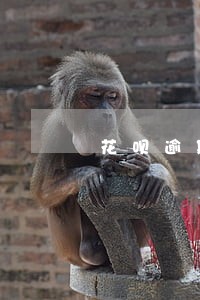 花呗逾期1周后果 花呗逾期1周后果