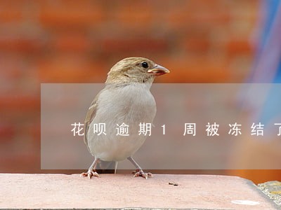 花呗逾期1周被冻结了 花呗逾期1周被冻结了