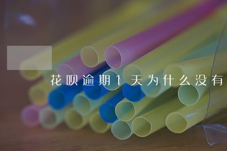 花呗逾期1天为什么没有记录