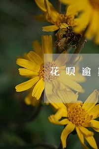 花呗逾期1天产生滞纳金吗 花呗逾期1天产生滞纳金吗