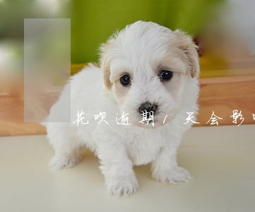 花呗逾期1天会影响贷款吗 花呗逾期1天会影响贷款吗