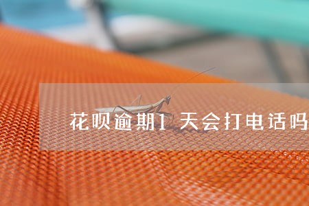 花呗逾期1天会打电话吗 花呗逾期1天会打电话吗