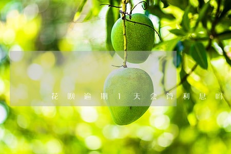 花呗逾期1天会算利息吗 花呗逾期1天会算利息吗