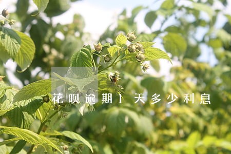 花呗逾期1天多少利息 花呗逾期1天多少利息