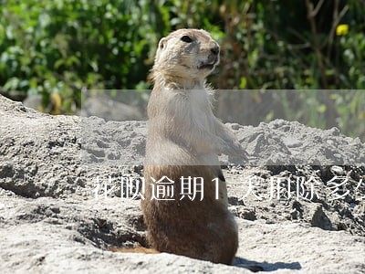 花呗逾期1天扣除多少芝麻分 花呗逾期1天扣除多少芝麻分