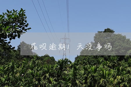 花呗逾期1天没事吗 花呗逾期1天没事吗