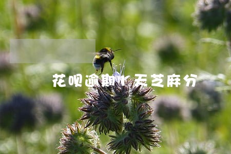 花呗逾期1天芝麻分 花呗逾期1天芝麻分